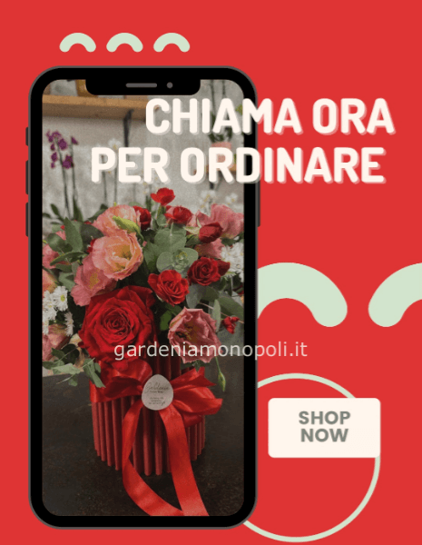 Chiama per concordare a telefono